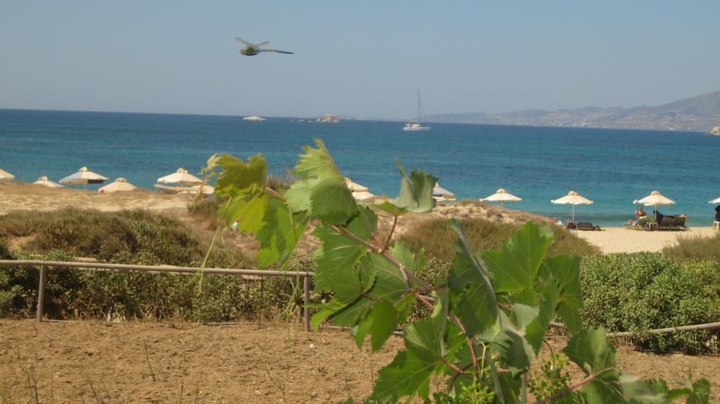 Aronis Plaka Naxos Lägenhet Exteriör bild