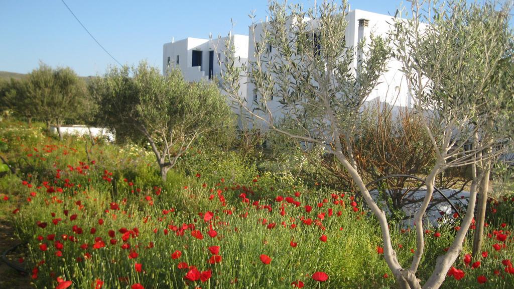 Aronis Plaka Naxos Lägenhet Exteriör bild