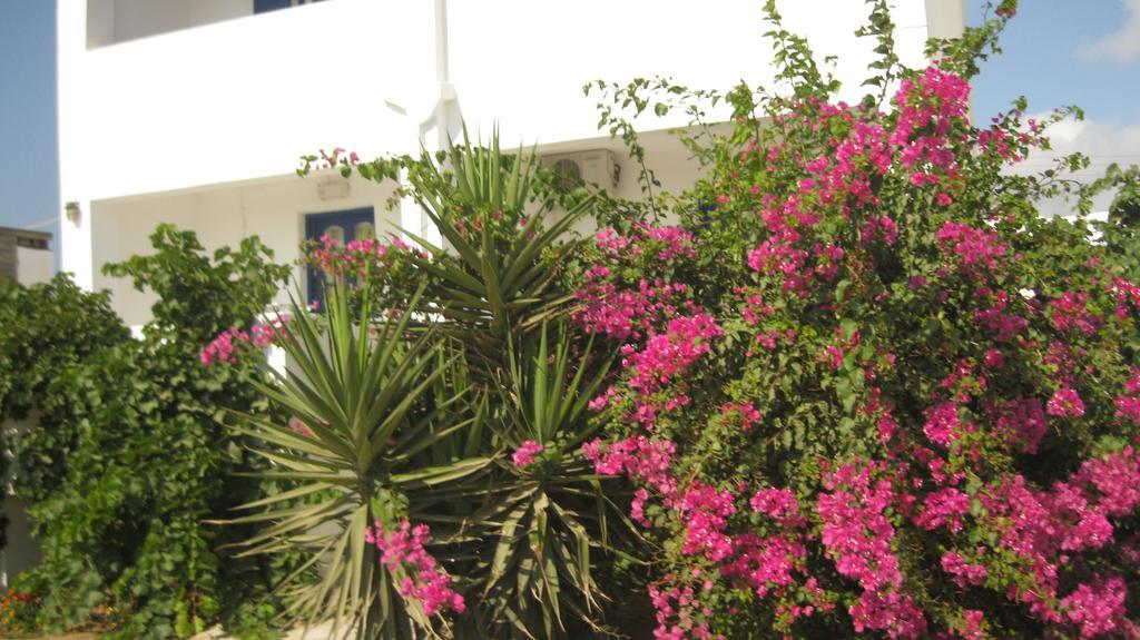 Aronis Plaka Naxos Lägenhet Exteriör bild